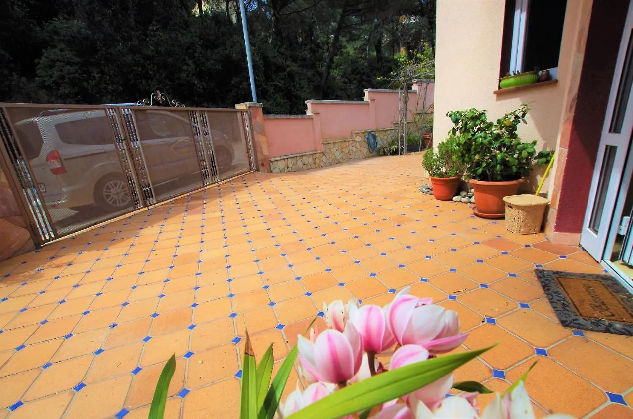 Villa Christine: Luxurious 17-Person Villa with Pool and Barbecue Lloret de Mar